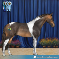 Horse Color:Buckskin Tobiano Rabicano 