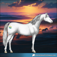 Horse Color:Gray Liver Red Roan Sabino Splash 
