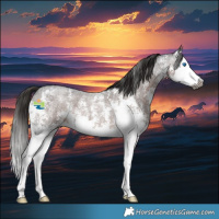 Horse Color:Gray Liver Red Roan Sabino Splash 