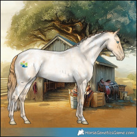 Horse Color:White Spotted Buckskin Roan Pearl Rabicano 