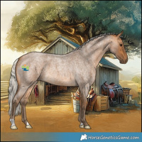 Horse Color:Silver Buckskin Roan 