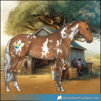 Horse Color:White Spotted Silver Buckskin 