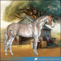 Horse Color:White Spotted Silver Buckskin Roan Rabicano 