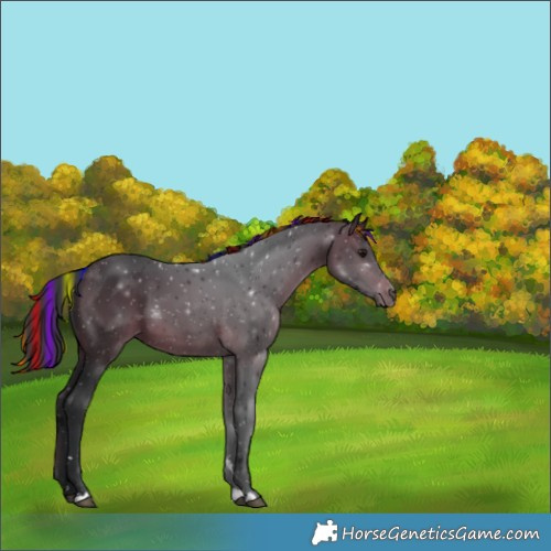 Horse Color:Painted Brown 