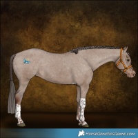 Horse Color:Liver Red Dun Tobiano Varnish 