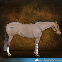 Horse Color:Liver Red Dun Tobiano Varnish 