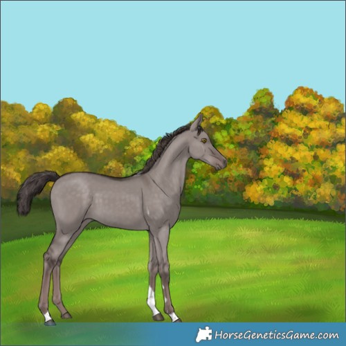 Horse Color:Platinum Liver Red Dun Tobiano Rabicano 