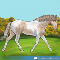 Horse Color:Perlino Tobiano 
