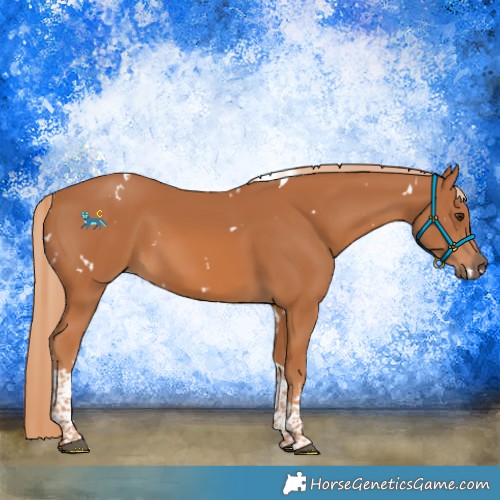 Horse Color:White Spotted Chestnut Tobiano 