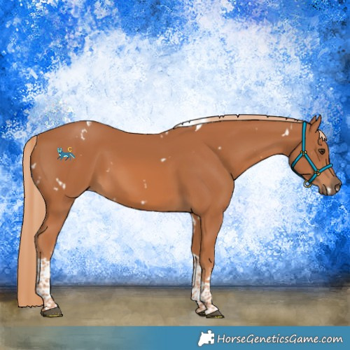 Horse Color:White Spotted Chestnut Tobiano 