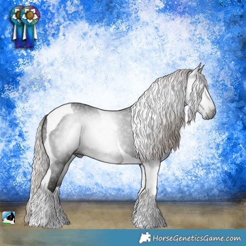 Horse Color:Gray Silver Black Tobiano 