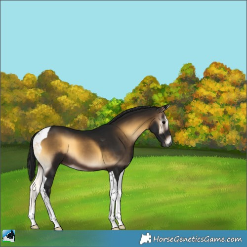 Horse Color:Gray Brown Onyx Tobiano 