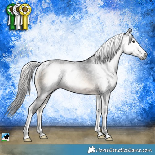 Horse Color:Gray Brown Onyx Tobiano 
