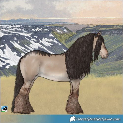 Horse Color:Liver Red Dun 