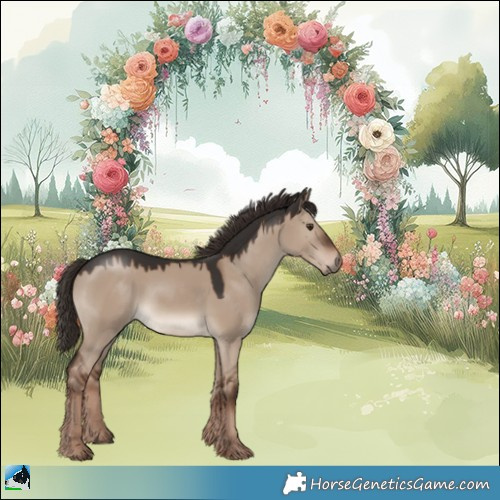 Horse Color:Liver Red Dun 