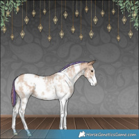 Horse Color:Painted White Spotted Black Pearl Sabino