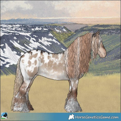 Horse Color:White Spotted Liver Red Dun Appaloosa 
