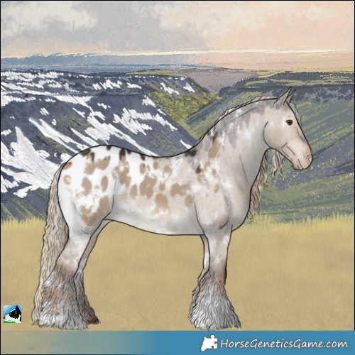 Horse Color:White Spotted Liver Red Dun Appaloosa 