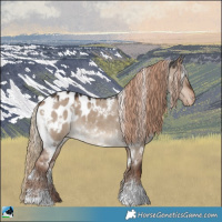 Horse Color:White Spotted Liver Red Dun Appaloosa 