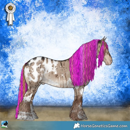 Horse Color:Painted White Spotted Liver Red Dun Appaloosa Brindle 