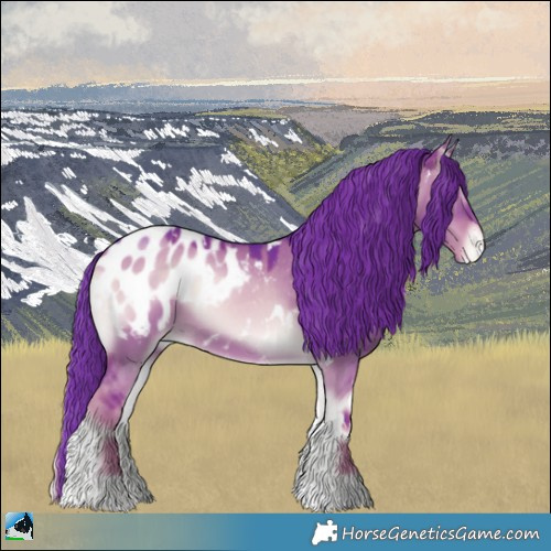 Horse Color:Watercolor White Spotted Liver Red Dun Onyx Appaloosa 
