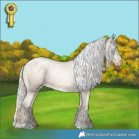 Horse Color:White Spotted Silver Buckskin Pearl Tobiano Appaloosa