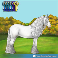 Horse Color:White Spotted Silver Buckskin Pearl Tobiano Appaloosa 