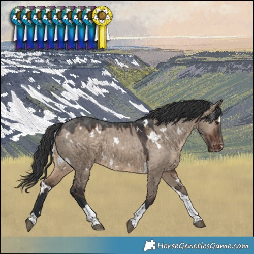 Horse Color:White Spotted Brown Dun Tobiano Varnish 