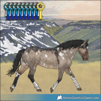 Horse Color:White Spotted Brown Dun Tobiano Varnish 