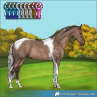Horse Color:Silver Brown Dun Tobiano Rabicano