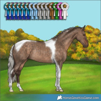 Horse Color:Silver Brown Dun Tobiano Rabicano 
