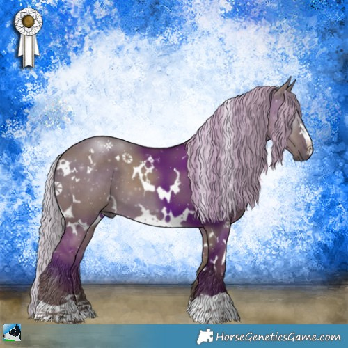 Horse Color:White Spotted Silver Grullo 