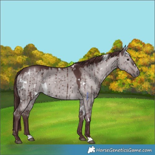 Horse Color:Platinum White Spotted Chocolate Brown Dun Brindle 