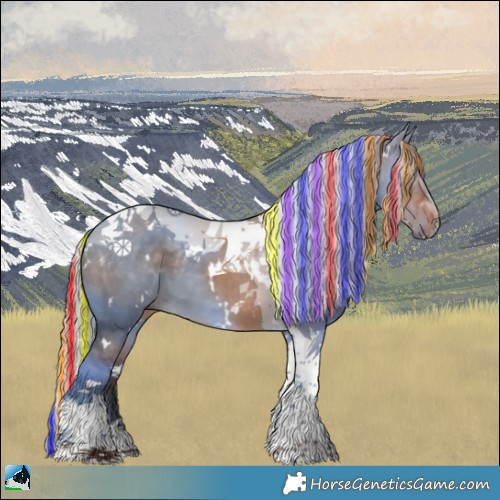 Horse Color:Painted White Spotted Silver Brown Dun Tobiano