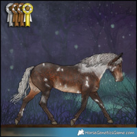 Horse Color:White Spotted Silver Brown