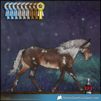 Horse Color:White Spotted Silver Brown