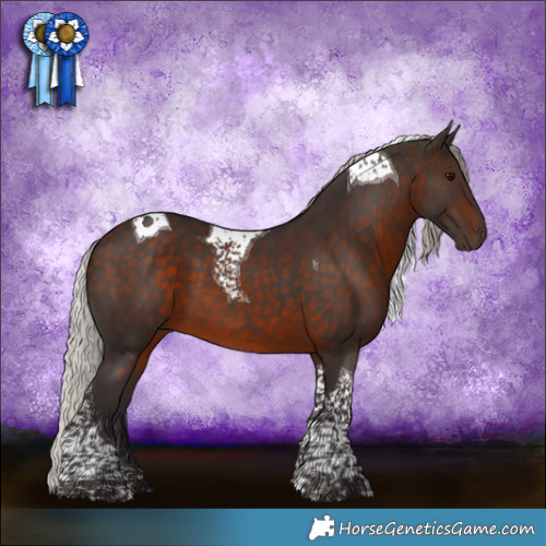 Horse Color:Silver Brown Tobiano 