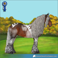 Horse Color:Silver Brown Tobiano 