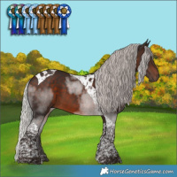 Horse Color:Silver Brown Tobiano