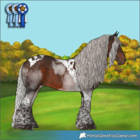 Horse Color:Silver Brown Tobiano 