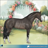 Horse Color:Brown Dun Rabicano 