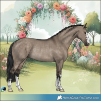 Horse Color:Brown Dun Rabicano 