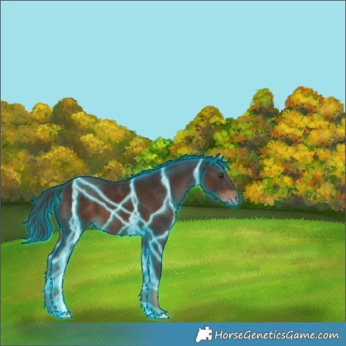 Horse Color:Thunderstruck Liver Chestnut 