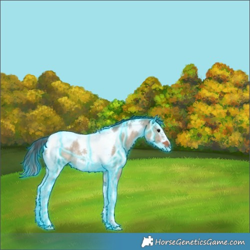 Horse Color:Thunderstruck Bay Dun Splash Tobiano Frame Rabicano 