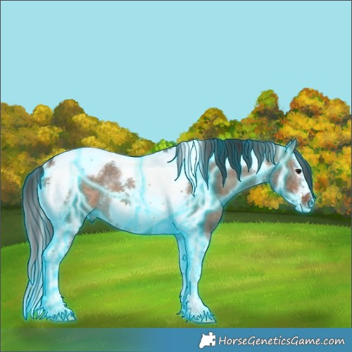 Horse Color:Thunderstruck Bay Dun Splash Tobiano Frame Rabicano 