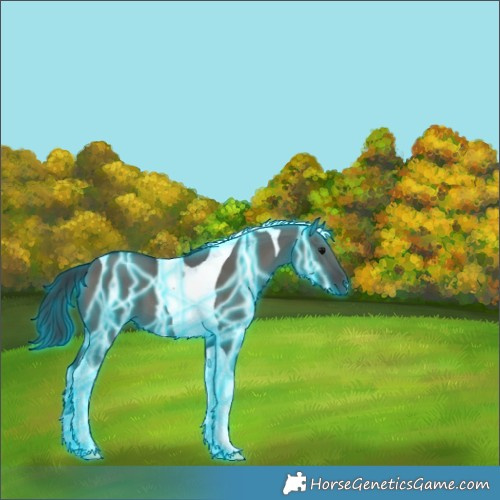 Horse Color:Thunderstruck Grullo Tobiano 