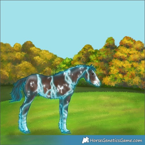 Horse Color:Thunderstruck White Spotted Liver Chestnut Splash Rabicano 