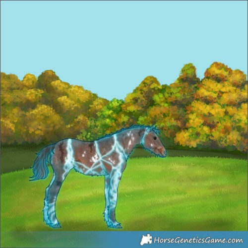 Horse Color:Thunderstruck White Spotted Brown Ice 