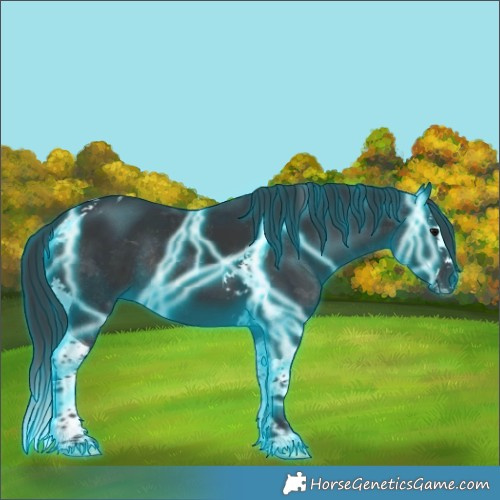 Horse Color:Thunderstruck Black Splash Tobiano Rabicano 