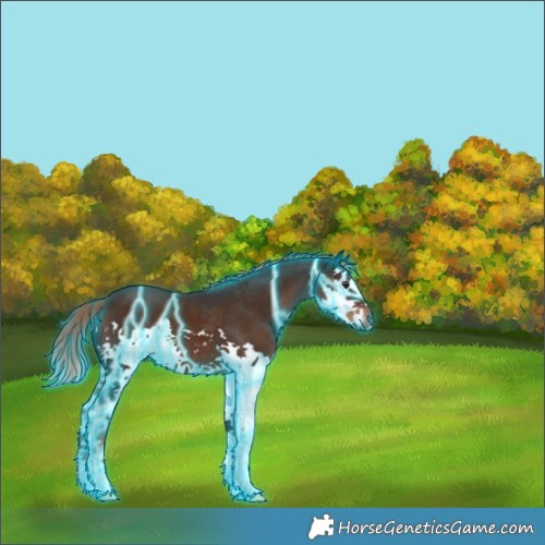 Horse Color:Thunderstruck Liver Chestnut Splash 